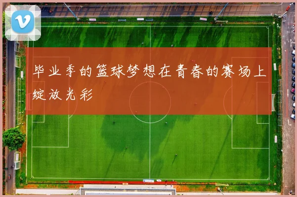 毕业季的篮球梦想在青春的赛场上绽放光彩