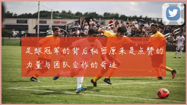 足球冠军的背后秘密原来是点赞的力量与团队合作的奇迹